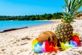 Tropical fuits on the sand by the sea on a clear day