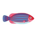 Tropical Funny Aquarium Fish Icon in Flat