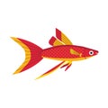 Tropical Funny Aquarium Fish Icon in Flat