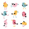 Tropical funny birds. Vector colorful parrots in simple flat hand-drawn cartoon style. Colorful isolate characters on a