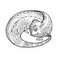 tropical funny chameleon made up of patterns and lines, coloring book for adults and children, black and white vector