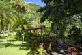 The tropical garden of Balata, Martinique Royalty Free Stock Photo