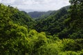 The tropical garden of Balata, Martinique Royalty Free Stock Photo