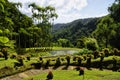 The tropical garden of Balata, Martinique Royalty Free Stock Photo