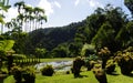 The tropical garden of Balata, Martinique Royalty Free Stock Photo