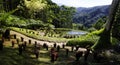 The tropical garden of Balata, Martinique Royalty Free Stock Photo