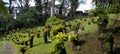 The tropical garden of Balata, Martinique Royalty Free Stock Photo