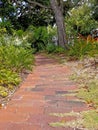 Tropical garden with brick path Royalty Free Stock Photo