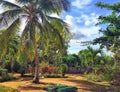 Garden on Cuban Sol Rio de Luna Mares resort property