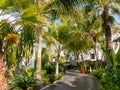 Tropical garden of hotel in Dubai Royalty Free Stock Photo