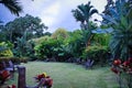 Tropical garden in hotel resort Royalty Free Stock Photo