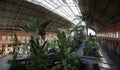 Tropical Garden inside Train Station