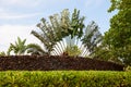 Tropical garden with lava rock wall Royalty Free Stock Photo