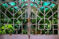 Tropical garden locked under rustic metallic gate. Exotic orchid greenhouse. Secret garden part in tropical park Royalty Free Stock Photo