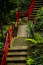 Tropical Garden at Monte above Funchal Madeira