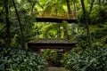 Tropical Garden at Monte above Funchal Madeira