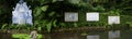 Tropical Garden at Monte above Funchal Madeira