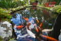 Tropical Garden Monte Palace, Lake with Koi