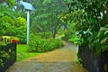Tropical Garden Rain