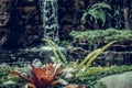 Tropical garden waterfall on exotic island Bali, Indonesia. Royalty Free Stock Photo