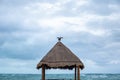 Tropical gazebo with a bridge over the ocean with a pelican sitting on it. Tropical storm in the Atlantic Ocean Royalty Free Stock Photo