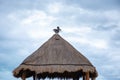 Tropical gazebo with a bridge over the ocean with a pelican sitting on it. Tropical storm in the Atlantic Ocean Royalty Free Stock Photo