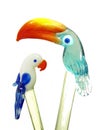 Tropical glass birds swizzle sticks Royalty Free Stock Photo