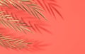 Tropical golden glossy palm leaves. Summer tropical metal leaf. Exotic hawaiian jungle foliage, summertime background. Coral color Royalty Free Stock Photo