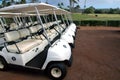Tropical Golf Carts 2 Royalty Free Stock Photo