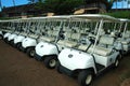 Tropical Golf Carts 3 Royalty Free Stock Photo