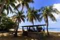 Beach dive shack silhouetted in the afternoon sun beneath the palms of Grande Anse beach on Basse Terre island in Guadeloupe