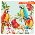 Tropical Graphic Design. Parrot Birds, Pomegranates and Tropical