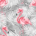 Tropical gray seamless pattern with flamingo