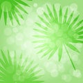 Tropical green background with palm leaves. Vector Royalty Free Stock Photo