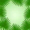 Tropical green background with palm leaves. Vector Royalty Free Stock Photo