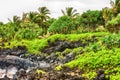 Tropical green beach with black cliffs and palm trees Royalty Free Stock Photo