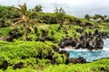 Tropical green beach with black cliffs and palm trees Royalty Free Stock Photo