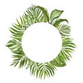 Tropical green foliage round frame for cards, banners. Watercolor summer exotic plants and leaves border on white background Royalty Free Stock Photo