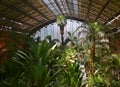 Tropical Green House