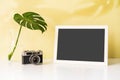 Tropical green leaf with retro camera and white photo frame with color background and copy space