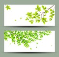 Tropical green leaves banners collections