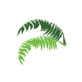 Tropical green leaves. Design element Royalty Free Stock Photo