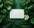 Tropical Green Leaves Frame with White Copy Space Royalty Free Stock Photo
