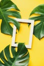 Tropical green leaves with piture frame on color background with copy space, Top view