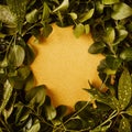 Tropical green leaves with rounded gold frame, copy space. Creative nature background. Minimal summer abstract jungle or forest Royalty Free Stock Photo