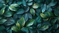 Tropical Green Leaves Texture with Dark Tone Abstract Nature Pattern Background Royalty Free Stock Photo