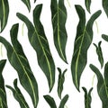 Tropical green leaves watercolor seamless pattern