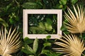 Tropical green leaves with white wooden frame and gold palm. Creative nature background. Minimal summer abstract jungle or forest Royalty Free Stock Photo