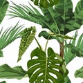 Tropical green monstera leaf illustration. Seamless pattern. Jungle foliage illustration. Exotic plants. Summer beach floral desig Royalty Free Stock Photo