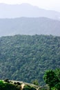 Tropical green mountains with perspective view, Langkawi island Royalty Free Stock Photo